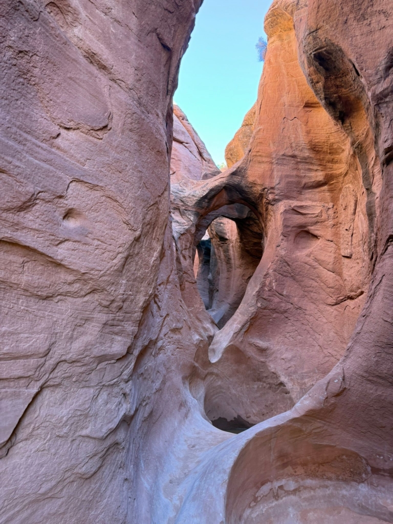 The Future of Wealth Management is Holistic – Are We Building that Future?